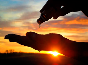 The Ceremony of Healing