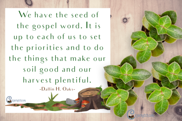 Parable Of The Sower Quotes Parable Of The Sower Quote | Church Of St Thérèse, Mount Merrion Parish Parable Of The Sower Quotes Parable Of The Sower Quote | Church Of St Thérèse, Mount Merrion Parish
