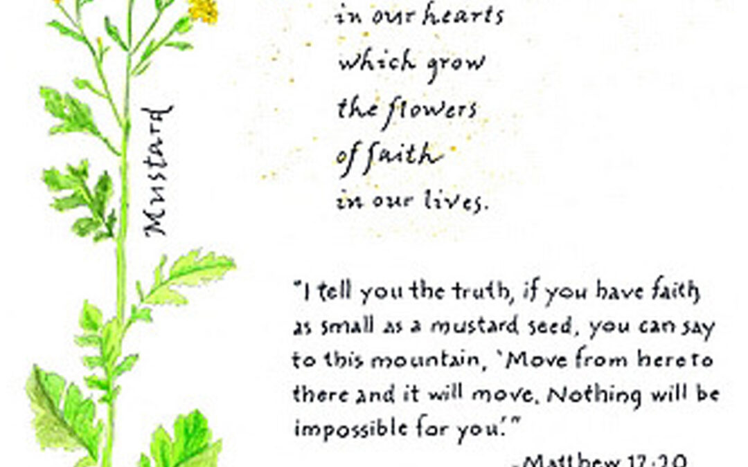 Faith is the seed of hope