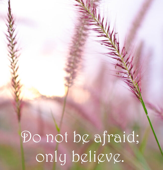 dont be afraid only beleive