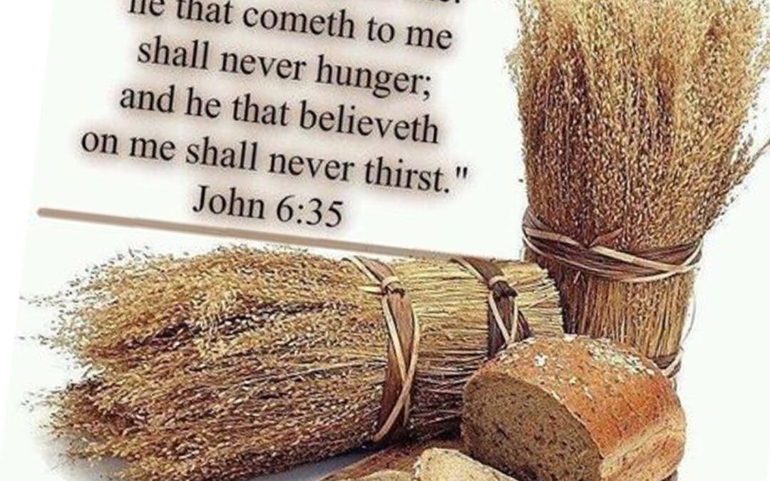 John 6:35