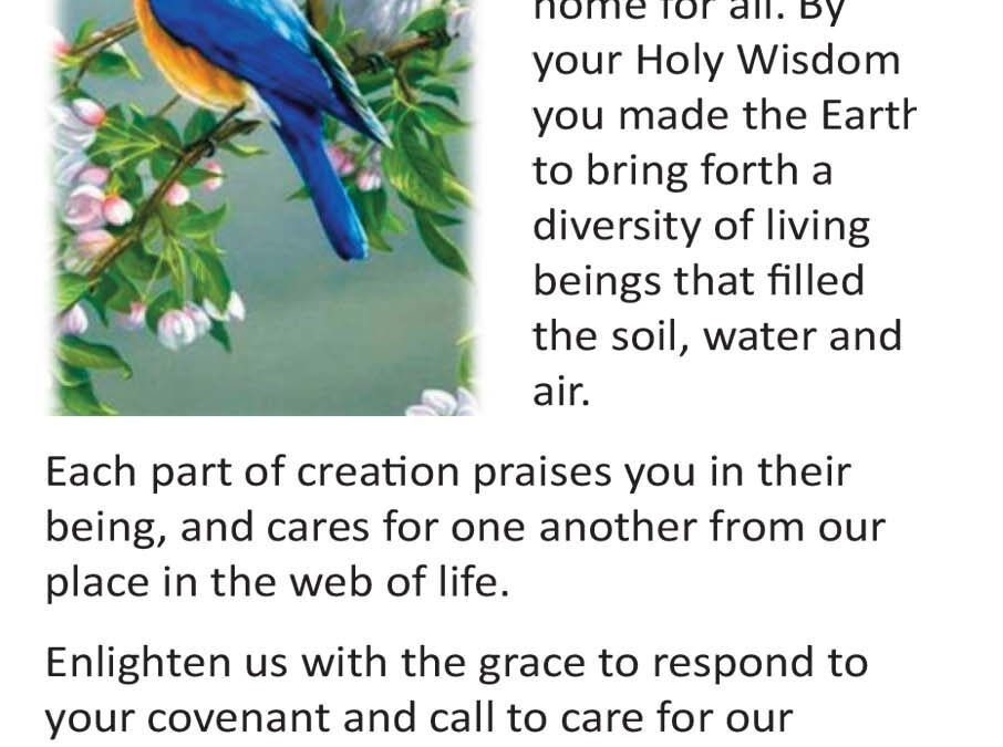 Creation Prayer