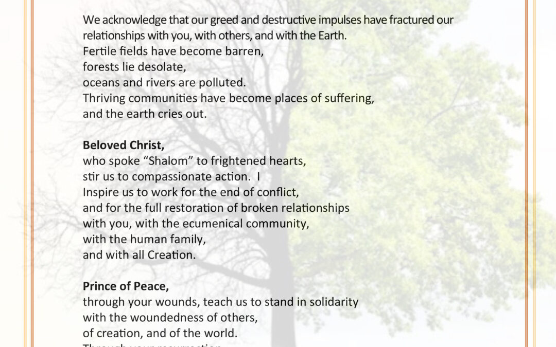 Peace for creation poster
