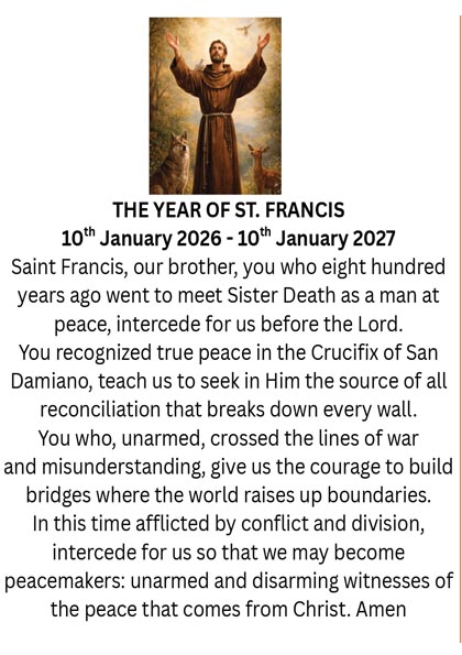 St Francis Year